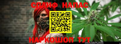 каннабис Будённовск