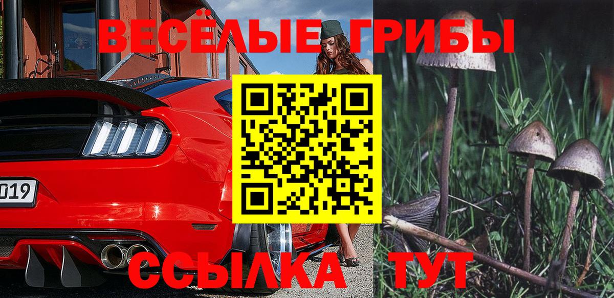 Галлюциногенные грибы Cubensis Полевской