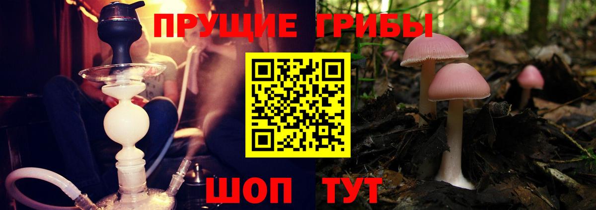 Псилоцибиновые грибы GOLDEN TEACHER  Галлюциногенные грибы MAGIC MUSHROOMS  Полевской  Вход с VPN 